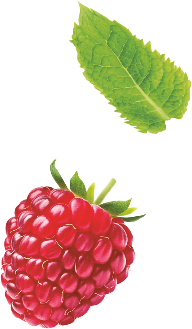 premiu2